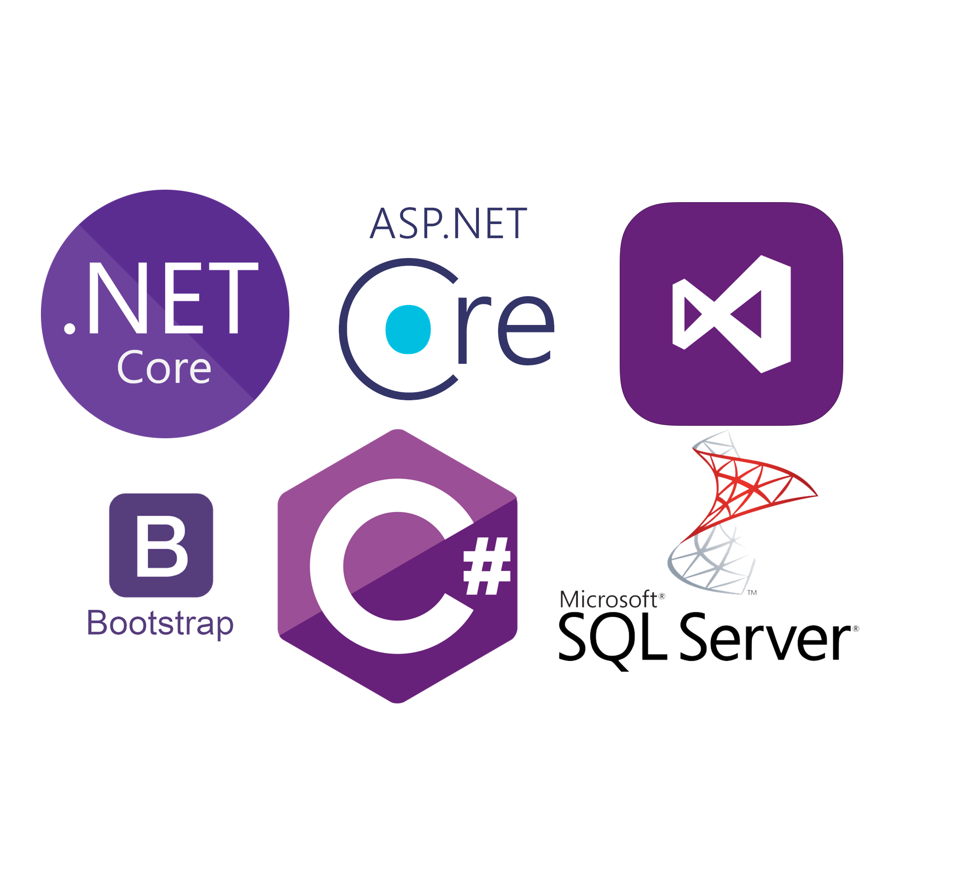 ASP.NET Core 8 Developer Guidance