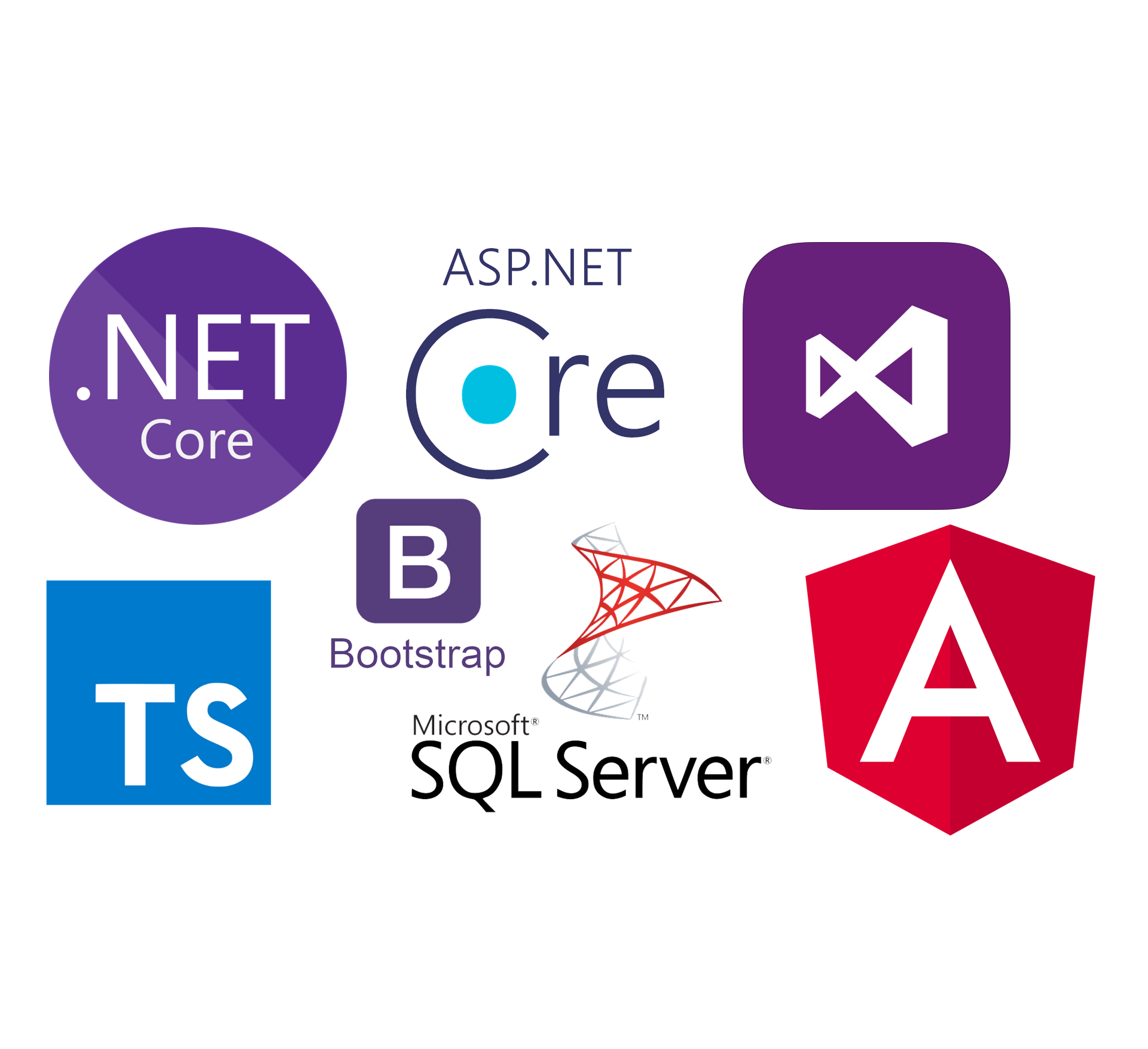 ASP.NET Core + Angular Developer Guidance